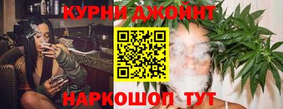 гидра Ливны