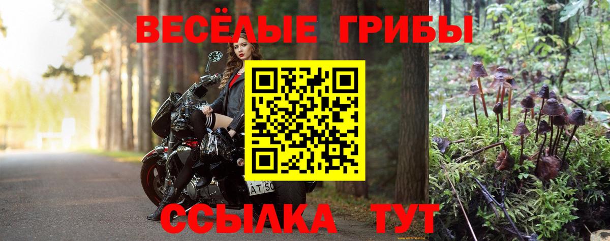 Юрга  Галлюциногенные грибы ЛСД  где продают наркотики  Вход с VPN 